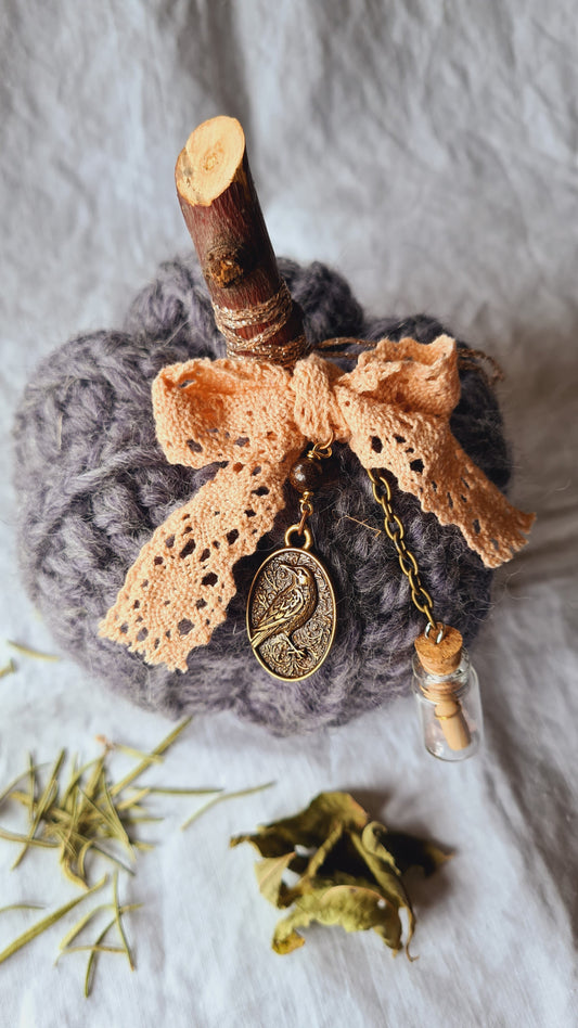 Citrouille Parme Dentelle – Ruban corail